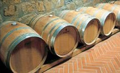 Fattoria Di Magliano Vini Toscani Grappe Vini E Prodotti Tipici In