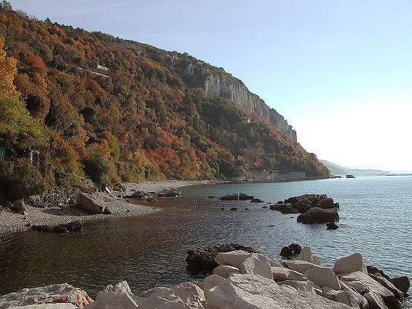 Canovella De Zoppoli Locali Dautore